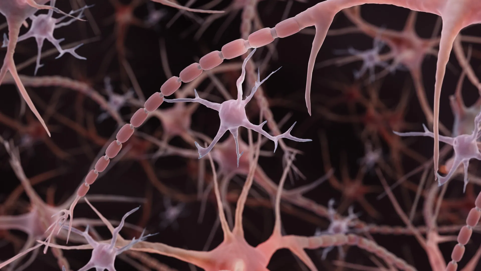 Beyond the Smooth Cable: Rethinking the Architecture of the Human Brain