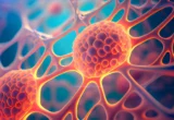 Breaking the Biological Dogma: Scientists Uncover a "Hidden" Survival Mechanism in Mammalian Cells