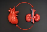 Bridging the Heart-Kidney Divide: A New Era in Cardiovascular and Renal Medicine