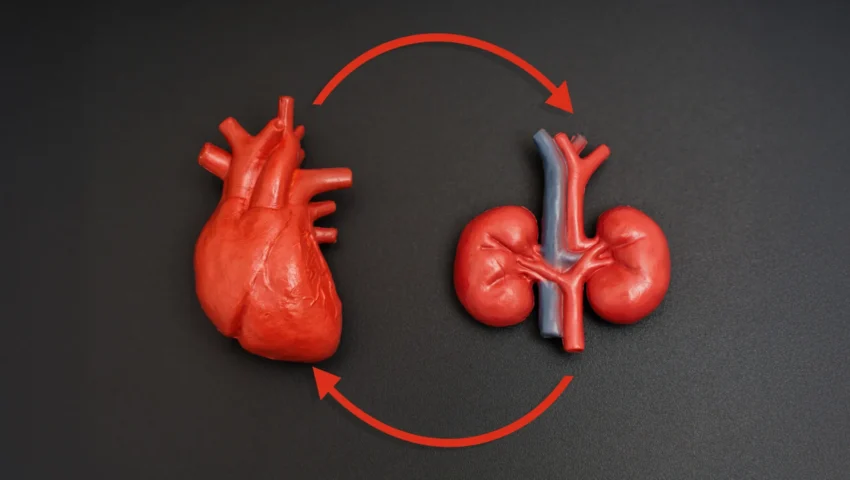 Bridging the Heart-Kidney Divide: A New Era in Cardiovascular and Renal Medicine