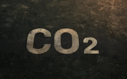 Concrete’s Green Revolution: Engineering Structures That Breathe