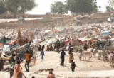 Diplomatic Dilemma: HRW Urges Berlin to Confront UAE Over Sudan Atrocities and Domestic Rights Abuses