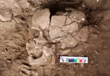 Echoes from the Ice Age: Evidence of Ancient Drug Use Rewrites Human History
