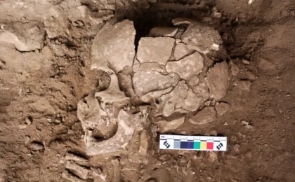 Echoes from the Ice Age: Evidence of Ancient Drug Use Rewrites Human History