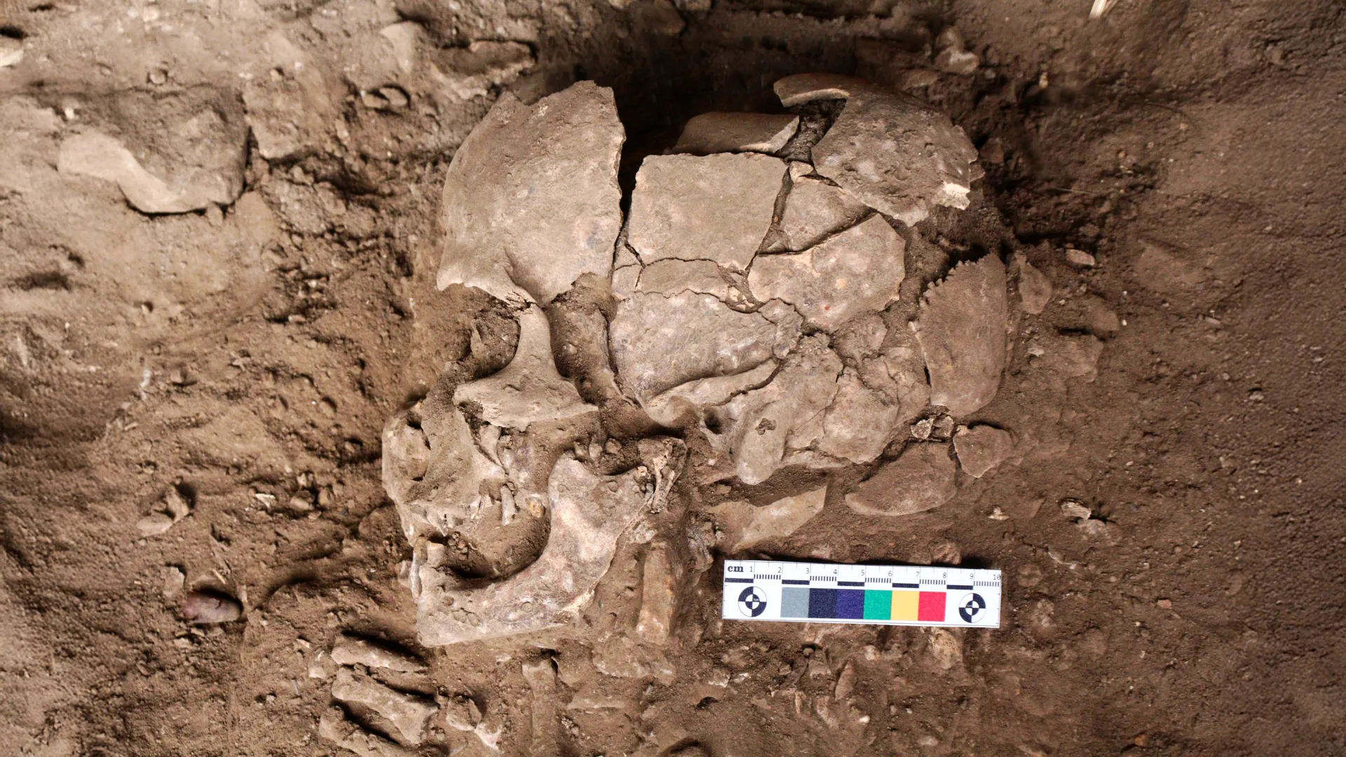 Echoes from the Ice Age: Evidence of Ancient Drug Use Rewrites Human History