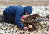 Echoes from the Ice: DNA Breakthroughs Reveal the Fates of Franklin’s Lost Crew