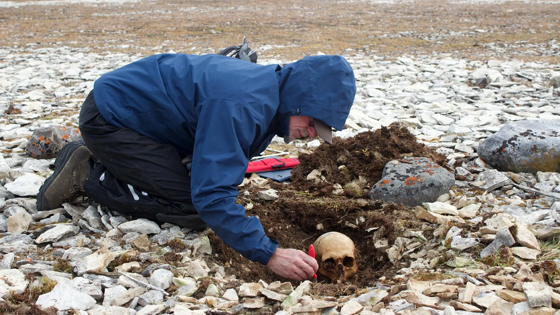 Echoes from the Ice: DNA Breakthroughs Reveal the Fates of Franklin’s Lost Crew