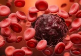 Engineering a Shield: Novel Gene-Editing Breakthrough Offers New Hope Against Aggressive Blood Cancers