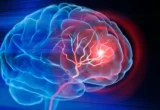 Engineering Recovery: How Duke Researchers Are Rebuilding the Post-Stroke Brain