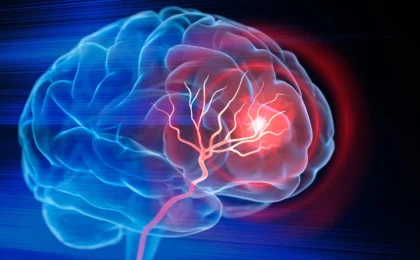 Engineering Recovery: How Duke Researchers Are Rebuilding the Post-Stroke Brain