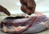EU Halts Brazilian Meat Imports Over Antibiotic Compliance Concerns: A Deep Dive into the Trade Standoff