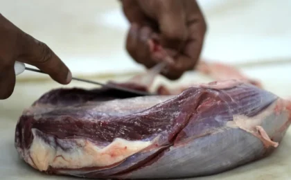 EU Halts Brazilian Meat Imports Over Antibiotic Compliance Concerns: A Deep Dive into the Trade Standoff