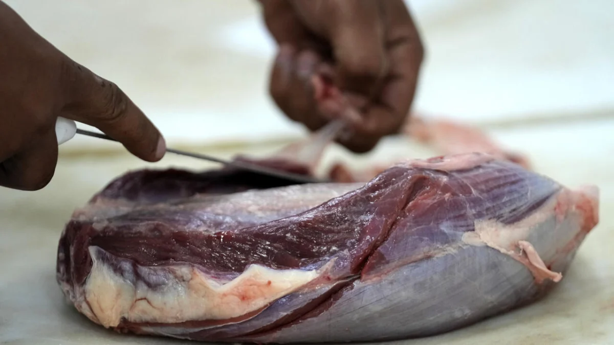 EU Halts Brazilian Meat Imports Over Antibiotic Compliance Concerns: A Deep Dive into the Trade Standoff