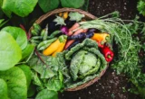 From Kitchen Scraps to Garden Gold: The Surprising Science of Onion Peel Fertilizer