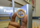 From Landfill to Lunch: How Engineered Microbes Are Turning Plastic Waste into Food