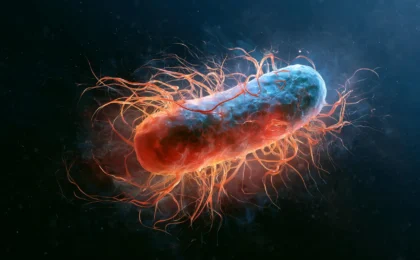 Harnessing the Micro-Magnet: How Magnetotactic Bacteria Are Redefining Longevity Research
