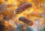 Jurassic Medicine: How Biologists Are Resurrecting Ancient Proteins to Combat Modern Superbugs