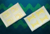 Living Circuitry: MIT’s Breakthrough in Biological Computing