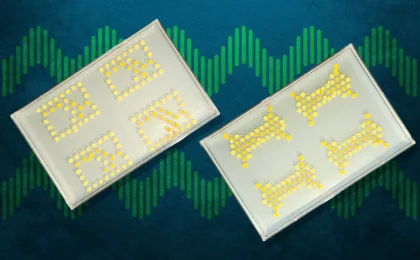 Living Circuitry: MIT’s Breakthrough in Biological Computing