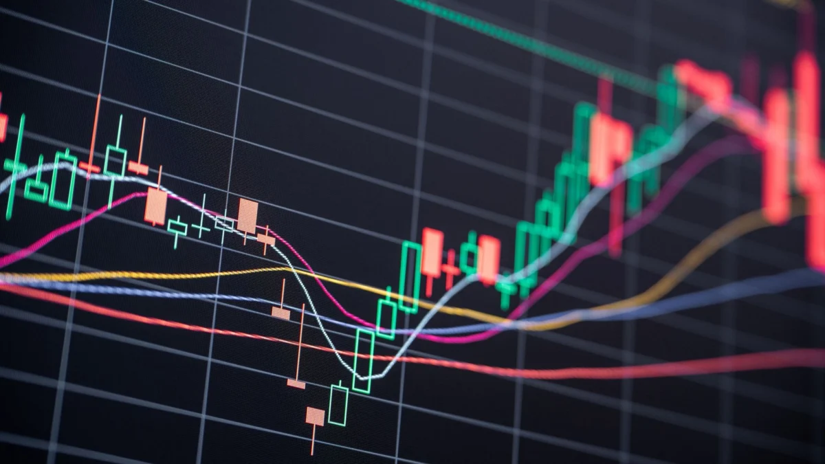 Market Resilience: Stocks Rally as Investors Shake Off Fed Rate Hike Jitters