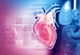 Precision Cardiology: Reevaluating the Role of Heart Calcium Scans in Risk Assessment