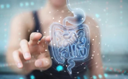 Restoring the Barrier: How Gut Microbes and Pomegranates May Hold the Key to Treating IBD