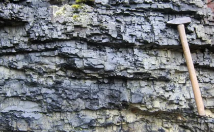 Rethinking the Great Oxygenation: New Evidence Challenges a 2-Billion-Year-Old Global Mystery