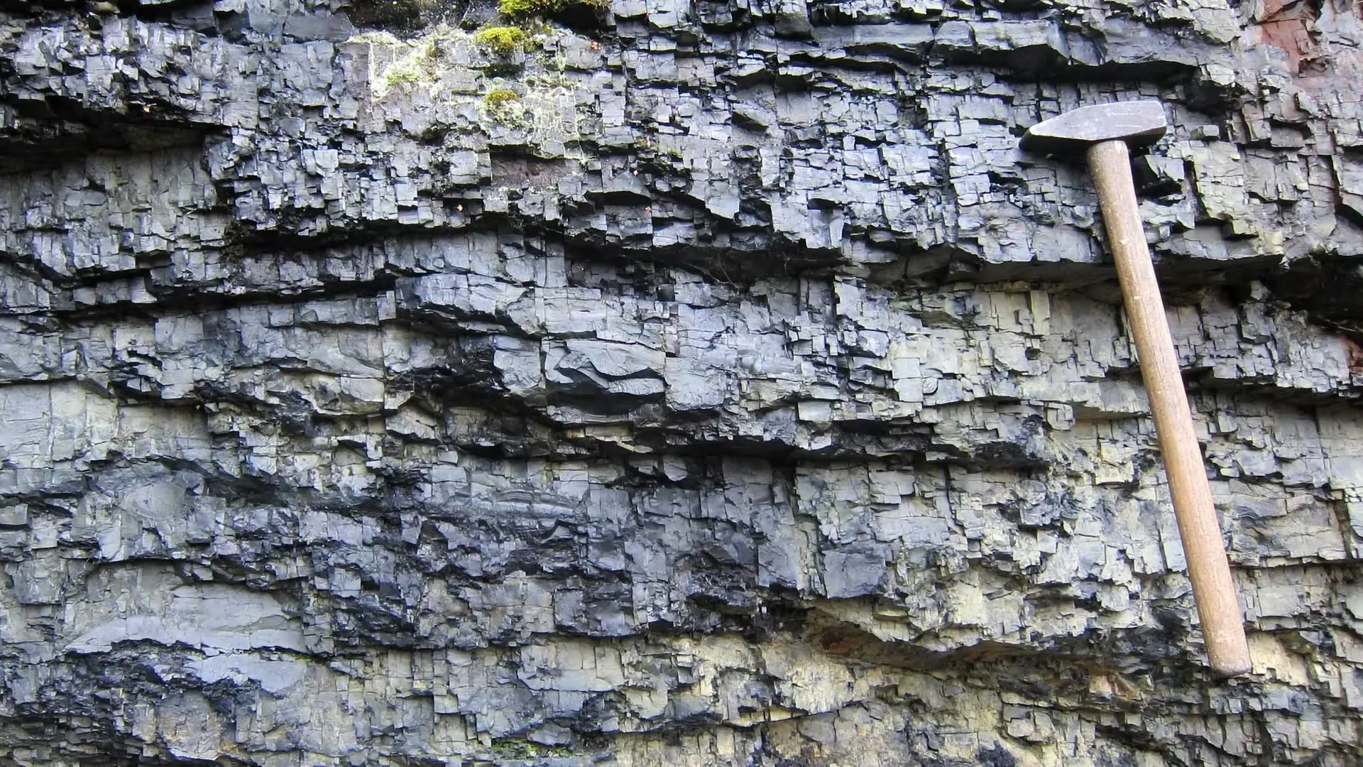 Rethinking the Great Oxygenation: New Evidence Challenges a 2-Billion-Year-Old Global Mystery