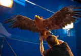 The Architecture of Awe: Inside Laika’s Most Ambitious Cinematic Undertaking, Wildwood