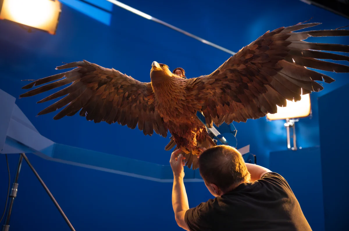 The Architecture of Awe: Inside Laika’s Most Ambitious Cinematic Undertaking, Wildwood