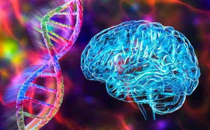 The Architecture of Intelligence: How Human Microglia Define Our Evolutionary Edge