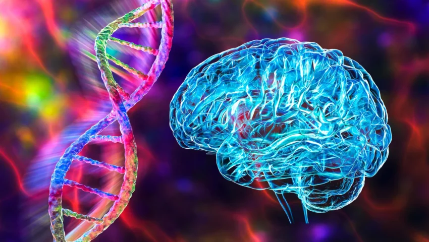 The Architecture of Intelligence: How Human Microglia Define Our Evolutionary Edge