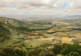 The Basque Cinema Paradox: Navigating the Boom of a Cultural Identity