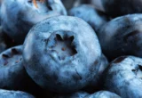 The Berry Breakthrough: How Pterostilbene Could Revolutionize Metabolic Health by Targeting Muscle Fat