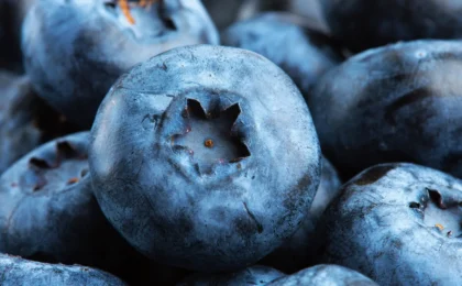 The Berry Breakthrough: How Pterostilbene Could Revolutionize Metabolic Health by Targeting Muscle Fat