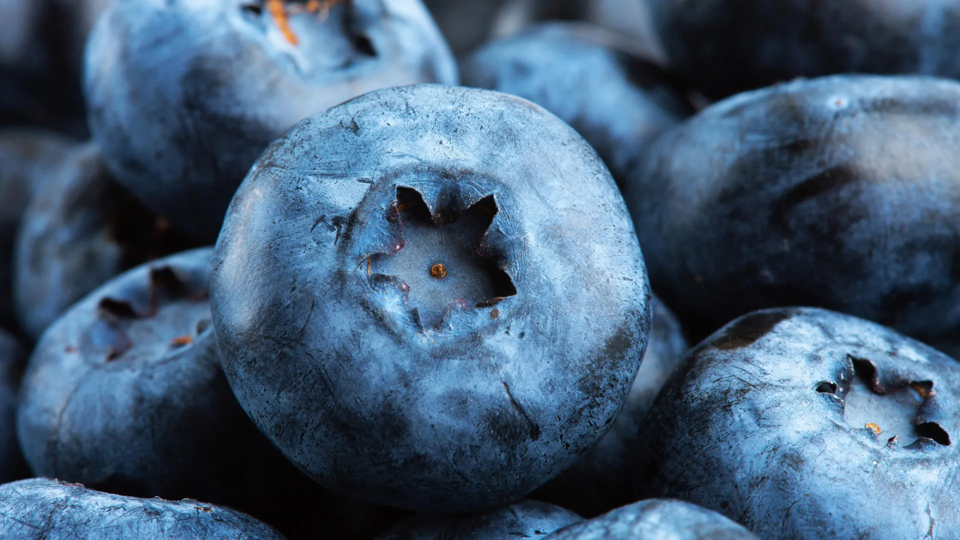 The Berry Breakthrough: How Pterostilbene Could Revolutionize Metabolic Health by Targeting Muscle Fat