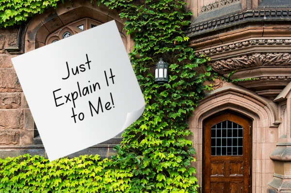 The Corporate Capture: How the American University Was Infantilized and Sold
