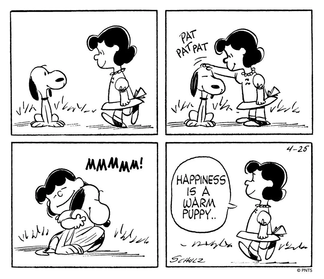 The Existential Weight of a Football: Why Charlie Brown’s Greatest Quote Defines the Human Condition