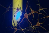 The Future of Neurological Precision: The Rise of the mAxialtrode