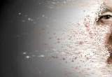 The Garbage Collectors of Aging: Stanford Discovery Reveals How to Reset the Immune System