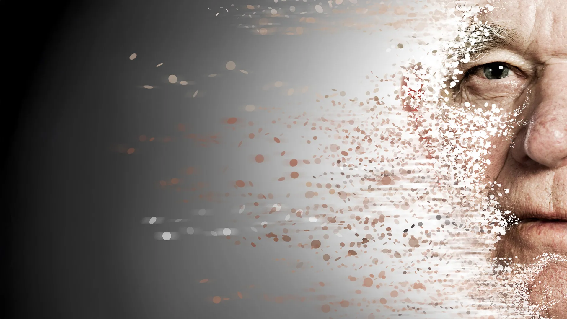 The Garbage Collectors of Aging: Stanford Discovery Reveals How to Reset the Immune System