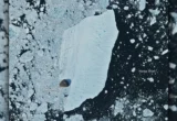 The Giant of the North: Greenland’s Petermann Glacier and the 2026 Calving Event