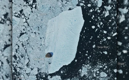 The Giant of the North: Greenland’s Petermann Glacier and the 2026 Calving Event