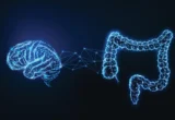 The Gut-Brain Connection: New Research Reveals Significant Links Between ADHD and Digestive Health