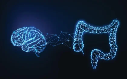 The Gut-Brain Connection: New Research Reveals Significant Links Between ADHD and Digestive Health