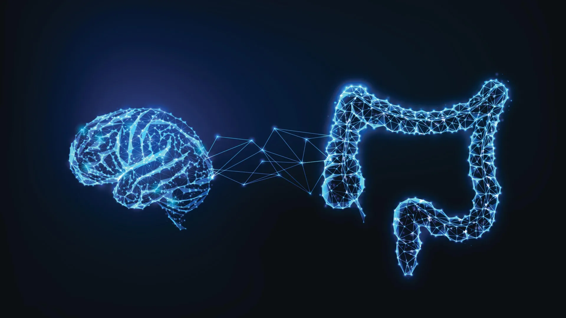 The Gut-Brain Connection: New Research Reveals Significant Links Between ADHD and Digestive Health