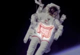 The Gut in the Stars: Unraveling the Digestive Mysteries of Spaceflight