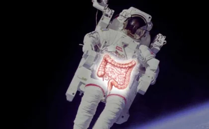 The Gut in the Stars: Unraveling the Digestive Mysteries of Spaceflight