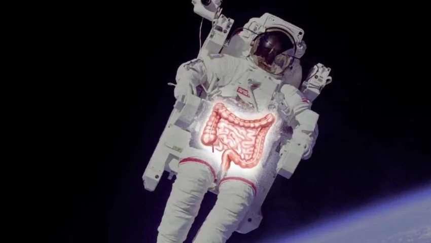 The Gut in the Stars: Unraveling the Digestive Mysteries of Spaceflight