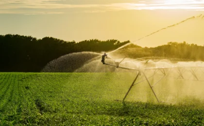 The Hidden Climate Dividend: How U.S. Irrigation Acts as a Global Carbon Sink